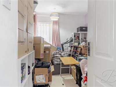 Picture 27